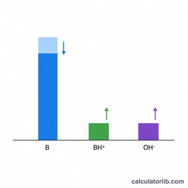 ICE table style bar chart showing initial base concentration decreasing slightly while OH minus and conjugate acid increase