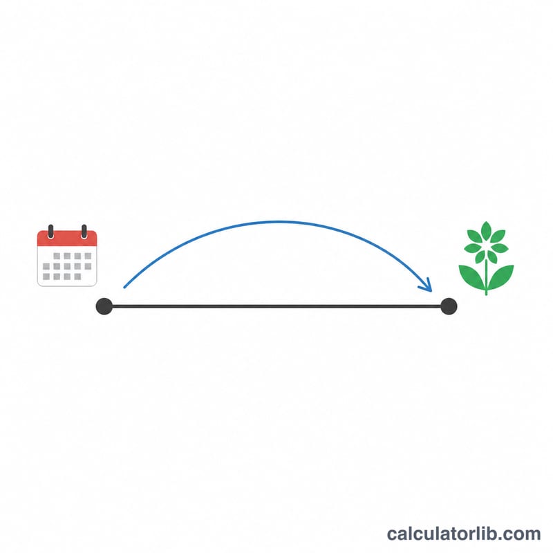Number line timeline showing start date, days counted, and the March equinox endpoint