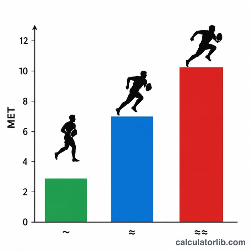 比较低、中、高强度橄榄球 MET 值的柱状图
