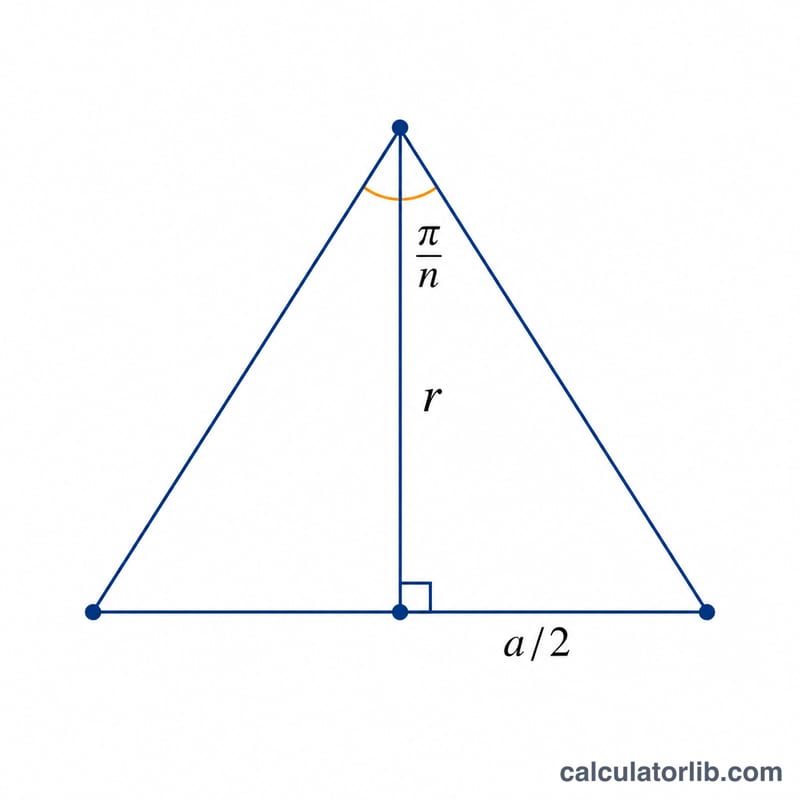 Triangle rectangle formé par le centre du polygone, le milieu d'un côté et un sommet, montrant l'apothème et le demi-côté