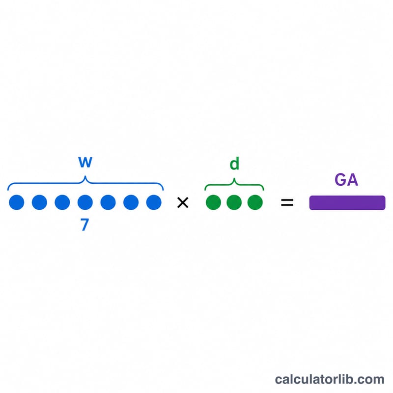 Diagram showing gestational age weeks times seven plus days equals total days