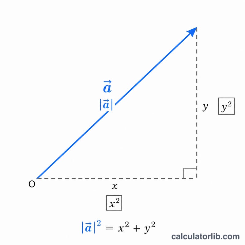 Right triangle showing vector components x and y forming the magnitude as the hypotenuse