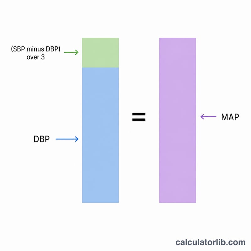 Flat illustration showing the MAP formula structure with diastolic pressure plus one third of the pulse pressure